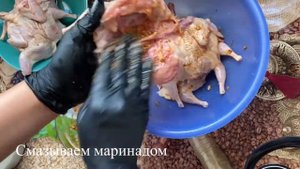 Жареные , сочные, вкусные Перепелки на сковороде под прессом как табака.
