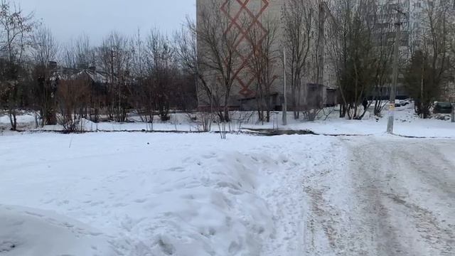 Ленинградская 2805