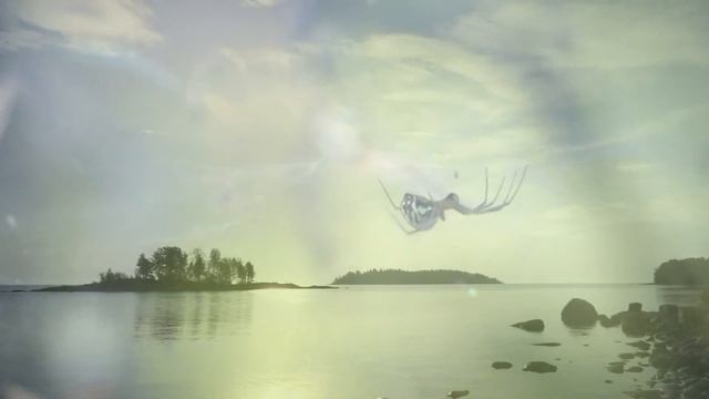 Ладожское озеро - Шхеры - Сборный видеофильм. Видео и музыка - Александр Травин. арТзаЛ