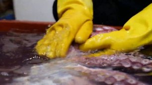 Удивительный размер !! Мастерство резки гигантского осьминога - корейская уличная еда