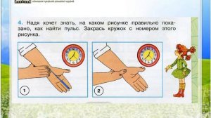 Задание 4 Дыхание и кровообращение - Окружающий мир 3 класс (Плешаков А.А.) 1 часть