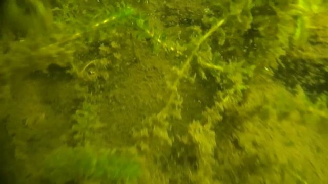 Дно озера Светлояр. Часть 2