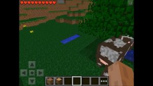 Internal Sound - Minecraft Pocket Edition