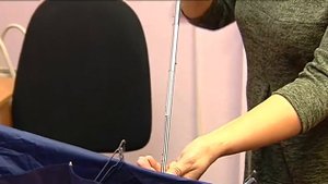 Сюжет Как правильно выбрать зонт