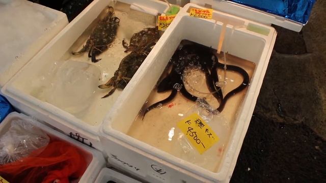 Рынок Цукидзи в Токио. Путешествие по Японии смотреть онлайн