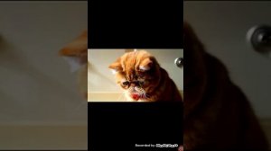 Вот почему Вайнран и Евген бро не снимают видео в месте(((😣😣