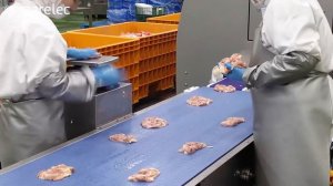 Машина MARELEC PORTIO DAP для нарезки куриного филе бедра на стрипсы с фиксированным весом