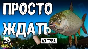 RF4 ПРОСТО ЖДАТЬ И БУДЕТ НЕОЖИДАННОСТЬ