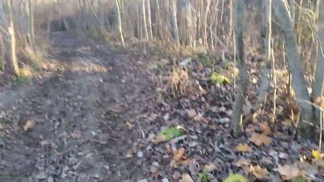 Оползни и обвалы
