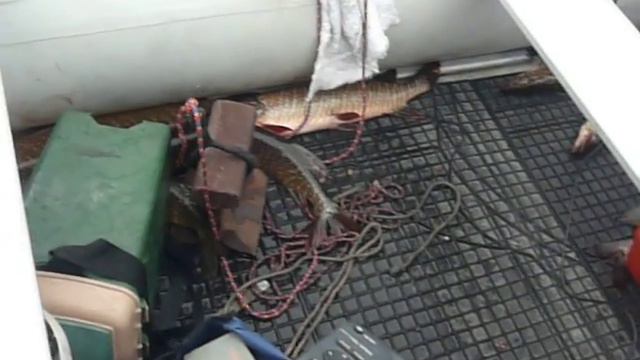 Серебрянское водохранилище смотреть онлайн