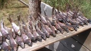 Выживание в Сибирской тайге 3 часть