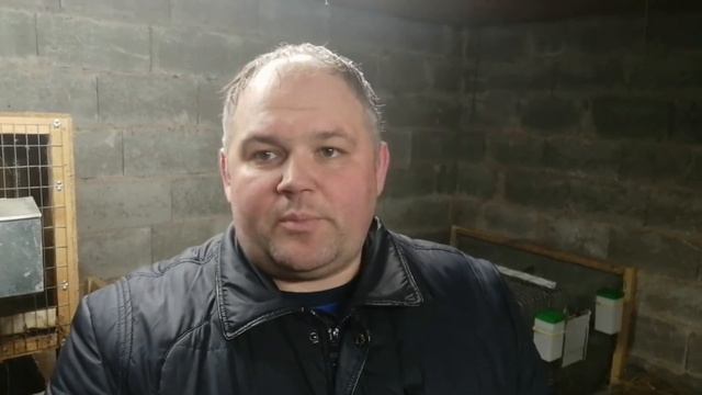 Опасная болезнь кроликов-ВГБК(вирусная геморрагическая болезнь кроликов).