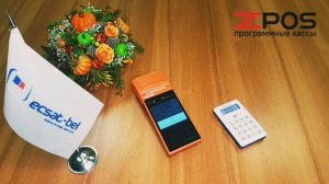 zPOS. Пример оплаты по карте с вводом ПИН-кода (V1s+mPOS)