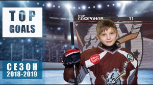 Top Goals of the 2018-19 season #hockey