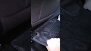 Отзыв на ковры Евромат 3Д, Омода с5