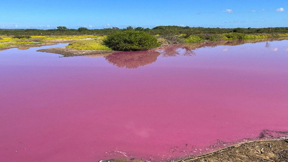 На гавайском острове вода окрасилась в необычный цвет / События на ТВЦ