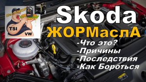 Skoda: ЖОРМасла ЧТО Это Такое И КАК Бороться? (2024)