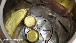 СВИНАЯ ТУШЕНКА ДОМАШНЯЯ ЗА ЧАС НА ПЛИТЕ /ОБЗОР АВТОКЛАВ FANSEL2 20 Л МОЙ ВЫБОР@obovsemsmarusya