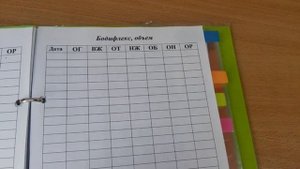 часть 1: DIY Идеальный ежедневник-органайзер своими руками ♥ Дневник похудения