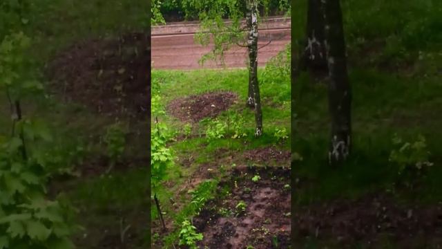 Доброе утро, други мои!!! Прямо сейчас в Брянске!!! 8 часов 15 минут по Московсому времени. Холодно
