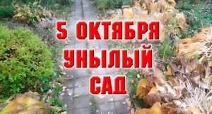 5 октября. Унылый сад..mp4