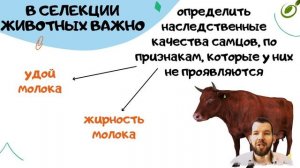 Л.22 | ИСКУССТВЕННЫЙ ОТБОР | СЕЛЕКЦИЯ | ОБЩАЯ БИОЛОГИЯ ЕГЭ