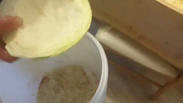 капуста квашенная на зиму и до весны смотреть онлайн