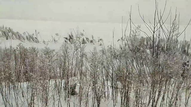 Крепкие зубы. Медитация Тета. смотреть онлайн