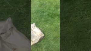 Будет кто чай