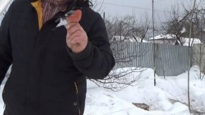 Ловля певчих птиц. И СНОВА ЯСТРЕБ ПЕРЕПЕЛЯТНИК РАСПУГАЛ ВСЮ ПТИЦУ