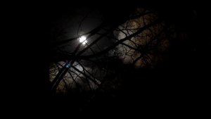 Прикосновение. Мистическая история.