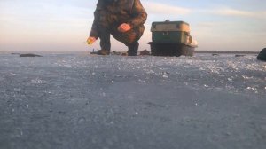 Russische Winterfischen 2016,лифт.зимняя рыбалка.клев плотвы.ладожское озеро.дубно 2016