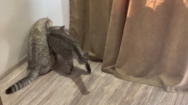 Главное выбрать правильную тактику😆