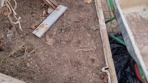 как спасти теплицу от снега? и сколько снега накидать внутрь теплицы