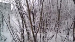 Якутия Нерюнгринский район поселок Чульман Якутяночка моя 💖