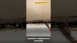 Удаление плесени, замена герметика и установка уголка в душевой
