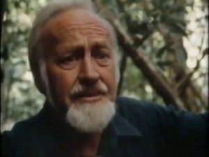 Билл Моллисон "Под угрозой падающей еды"