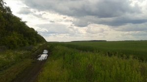 Село Розенталь. Омская область. Москаленский район