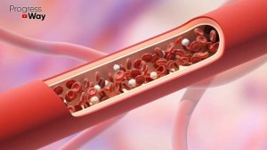 Сильнейшая Трава Расширяет Сосуды, Улучшает Работу Органов И Головного Мозга!