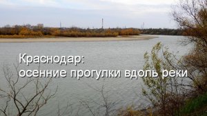 Краснодар - 19  ноября 2022 - прогулки на велосипеде по паркам вдоль реки Кубань