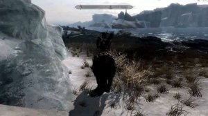 Elder Scrolls V: Skyrim Walkthrough in 1080p, Part 36: Winterhold Country (PC Gameplay)