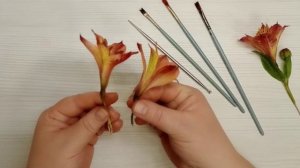 Альстромерия из холодного фарфора. Моя работа с натуры