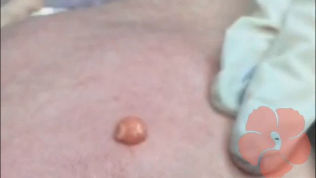 Биополимеры смотреть онлайн