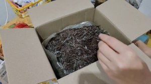 Как мы вырастили шампиньоны дома