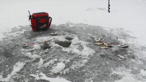 Зимняя рыбалка на реке Ветлуга