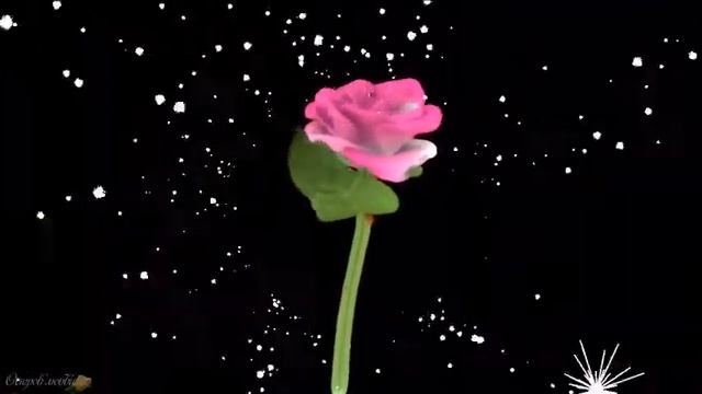 С ДНЕМ 8 МАРТА! Красивое поздравление с праздником 8 марта смотреть онлайн