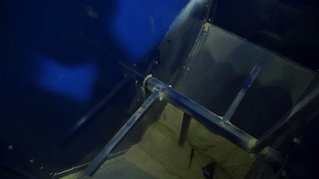 Дозатор-смеситель с непрерывной подачей. Атакский леспромхоз