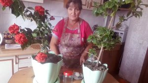 Удобрение для розы! Что бы розы буйно цвели.