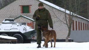 Военное обозрение 09.03.2023 // Личное дело девушки-кинолога