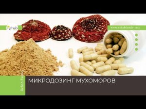 Микродозинг мухоморов | Симптомы превышения дозы | Лечение зависимости